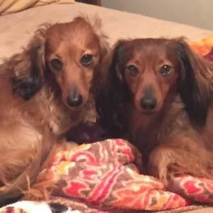 Meet your Posher, Cathy